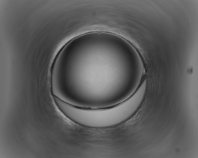 X0000094911527200711291244