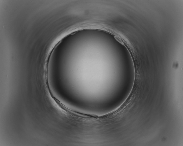 X0000094911528200711291244