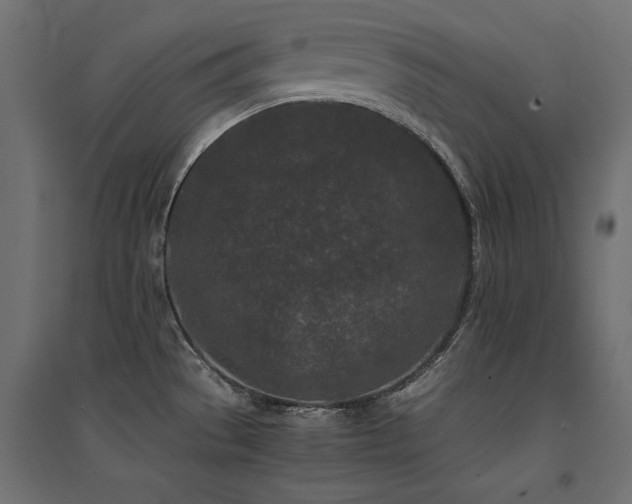 X0000094911529200711291244