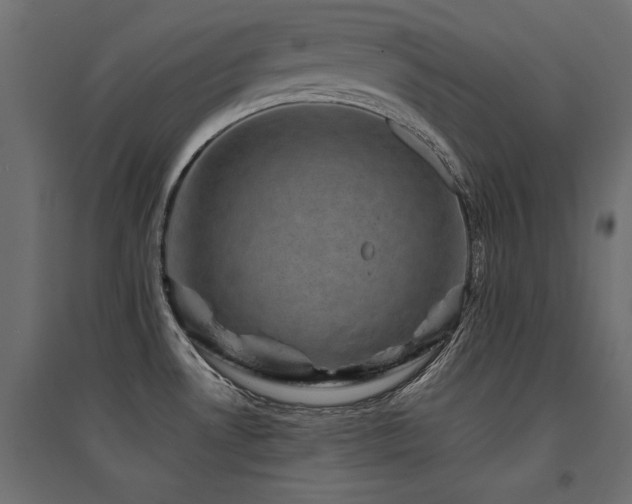 X0000094911530200711291244