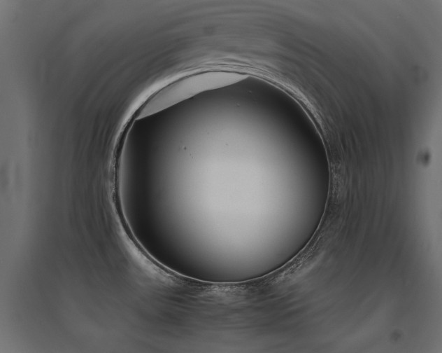 X0000094911531200711291244