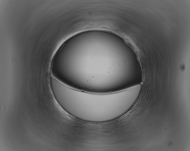X0000094911532200711291244