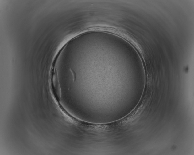 X0000094911533200711291244