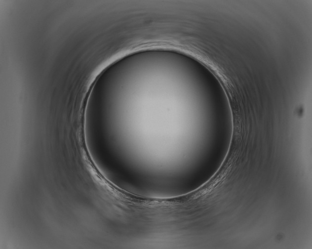 X0000094911534200711291244