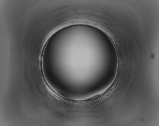 X0000094911535200711291244