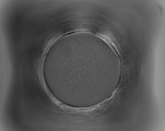 X0000094910001200712061058