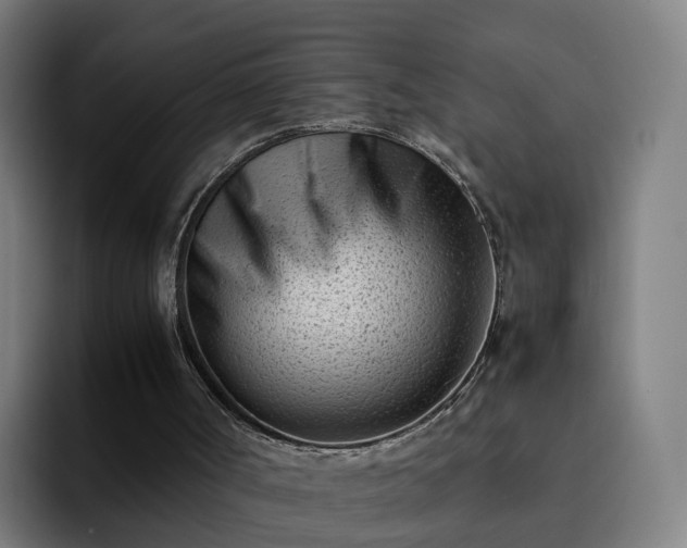 X0000094910002200712061058