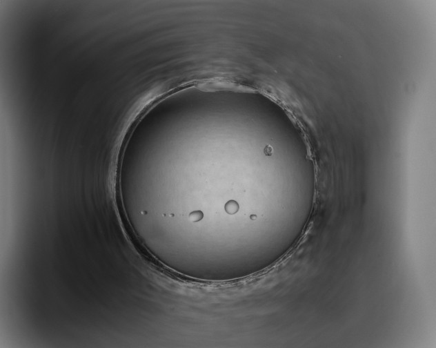 X0000094910003200712061058