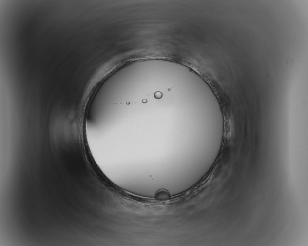 X0000094910004200712061058