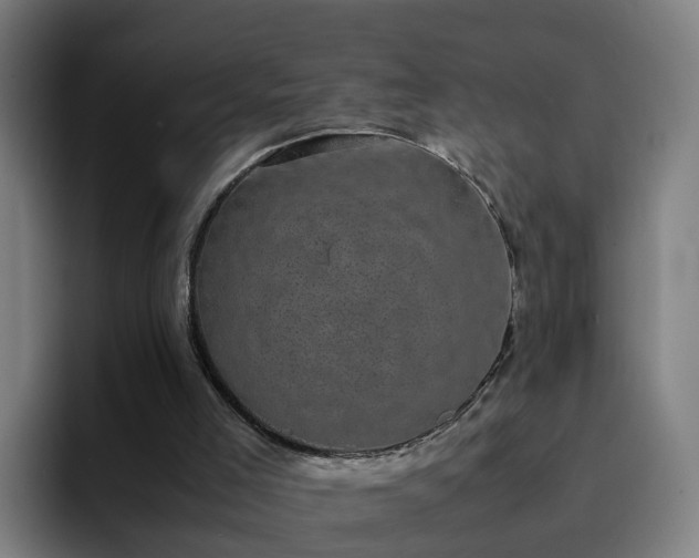 X0000094910005200712061058