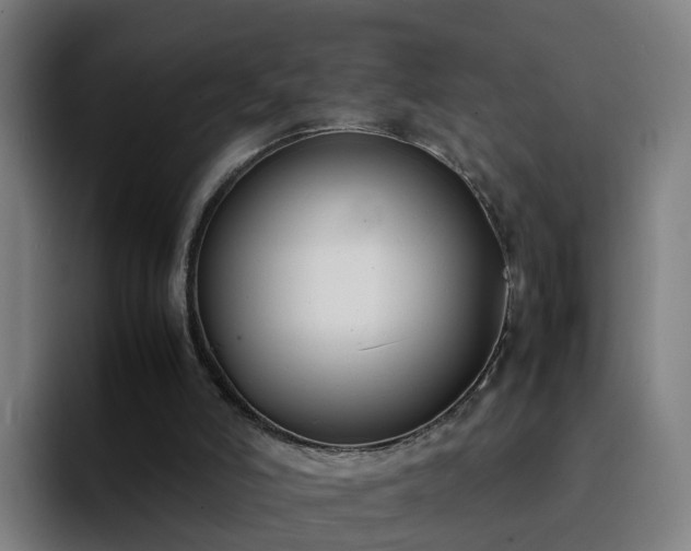 X0000094910006200712061058
