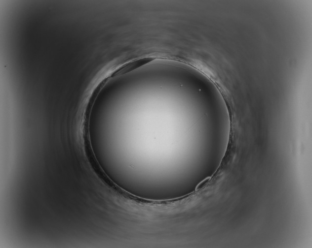 X0000094910007200712061058