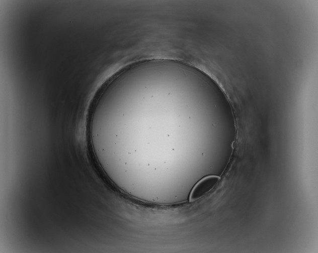 X0000094910008200712061058
