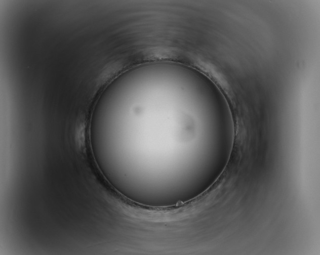 X0000094910010200712061058