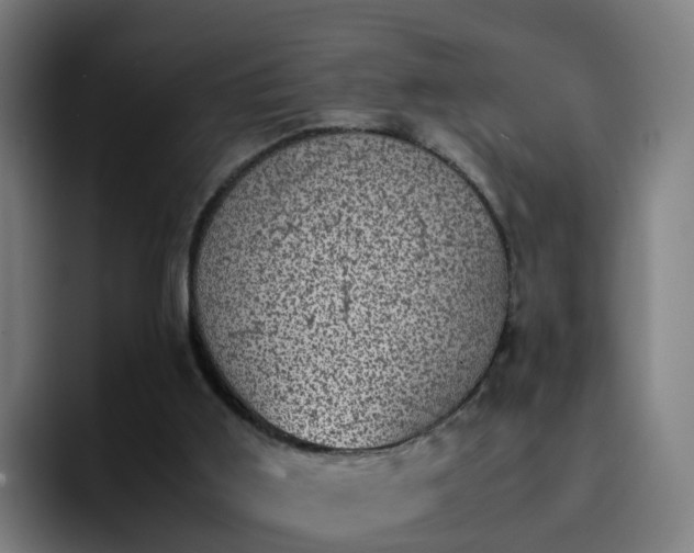 X0000094910011200712061058