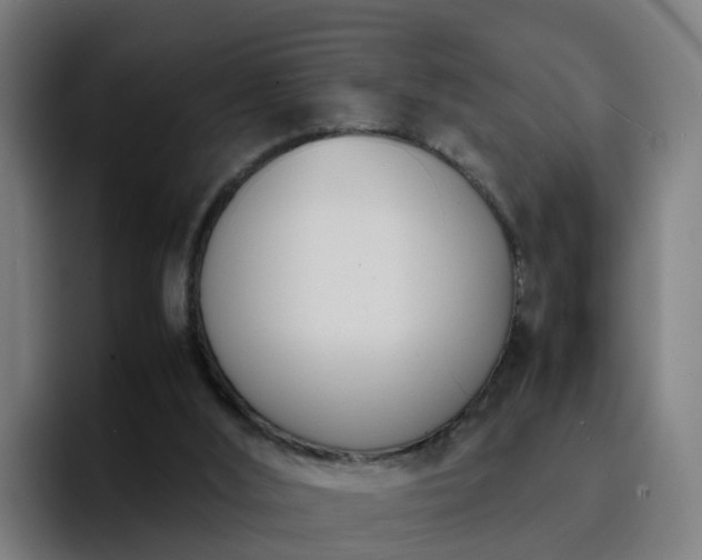X0000094910012200712061058