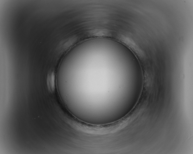 X0000094910014200712061058
