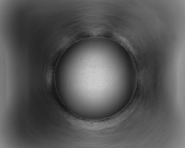 X0000094910018200712061058