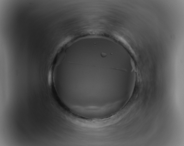 X0000094910019200712061058