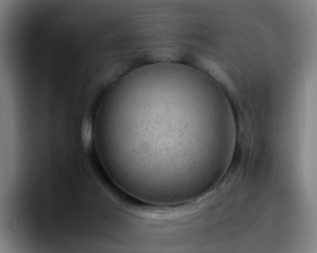X0000094910021200712061058