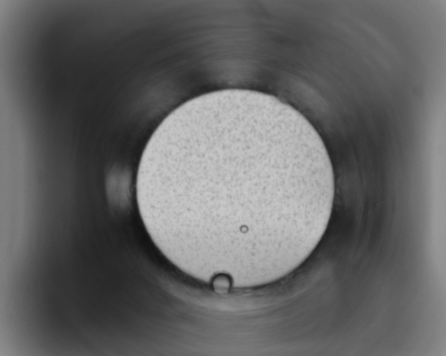 X0000094910024200712061058