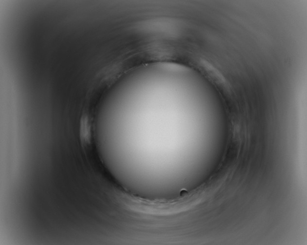 X0000094910026200712061058