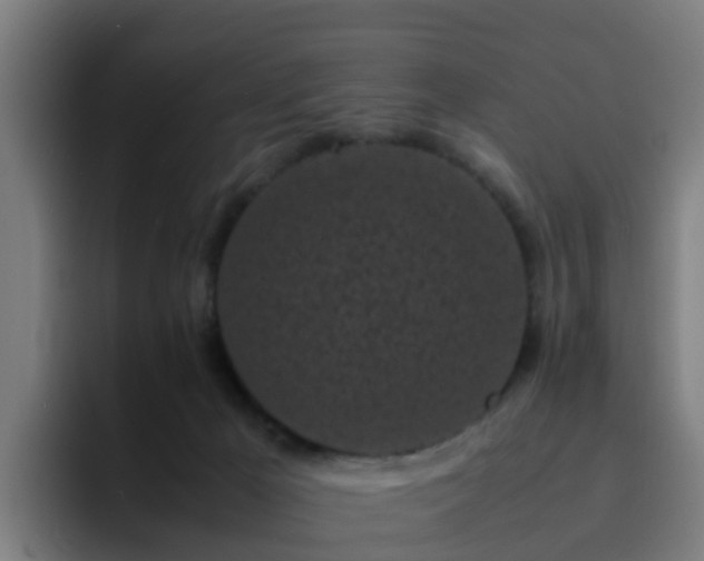 X0000094910029200712061058