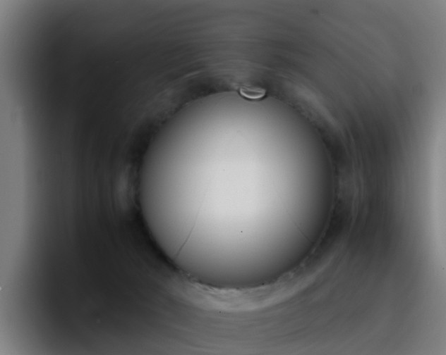 X0000094910030200712061058