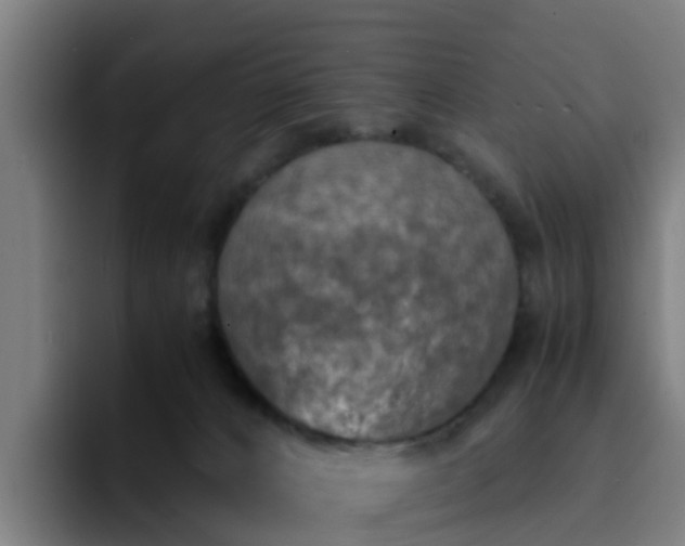 X0000094910032200712061058