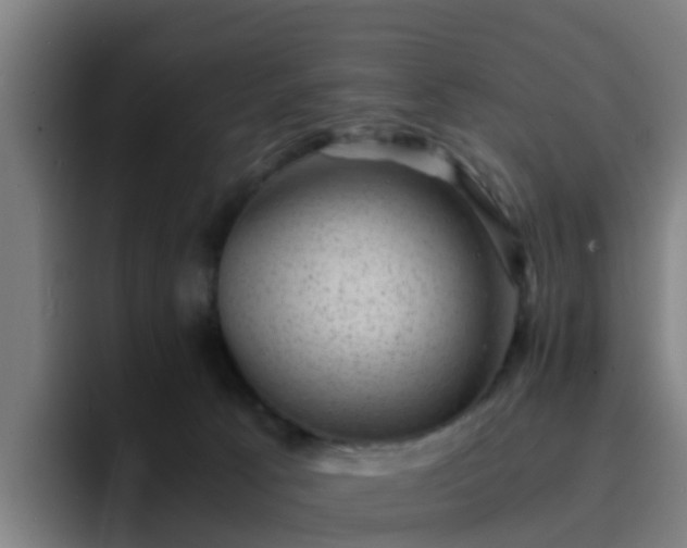X0000094910033200712061058
