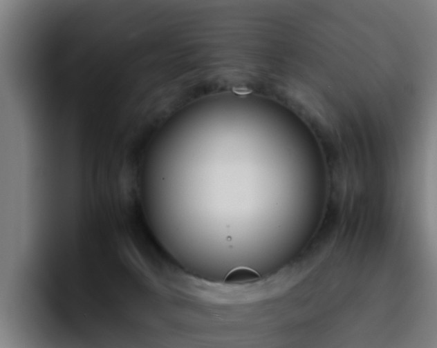 X0000094910034200712061058