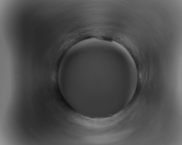 X0000094910035200712061058
