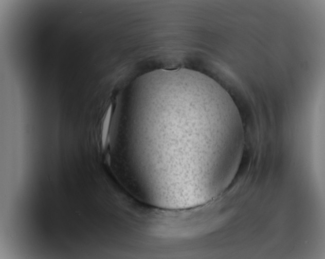 X0000094910037200712061058