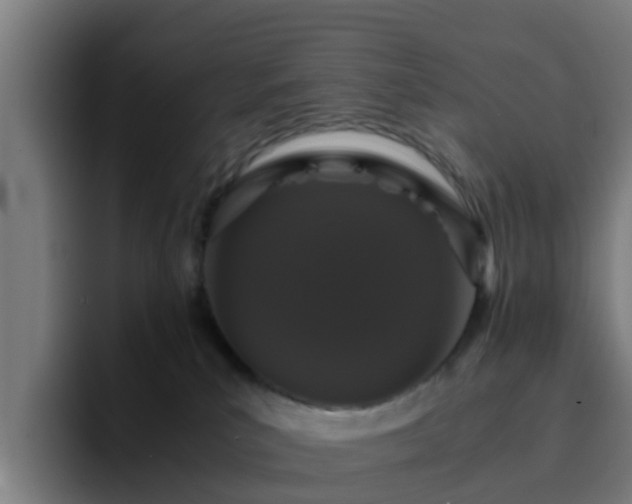 X0000094910039200712061058