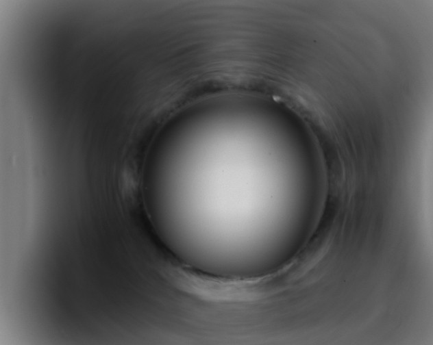 X0000094910040200712061058