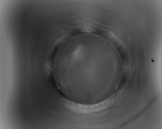 X0000094910043200712061057