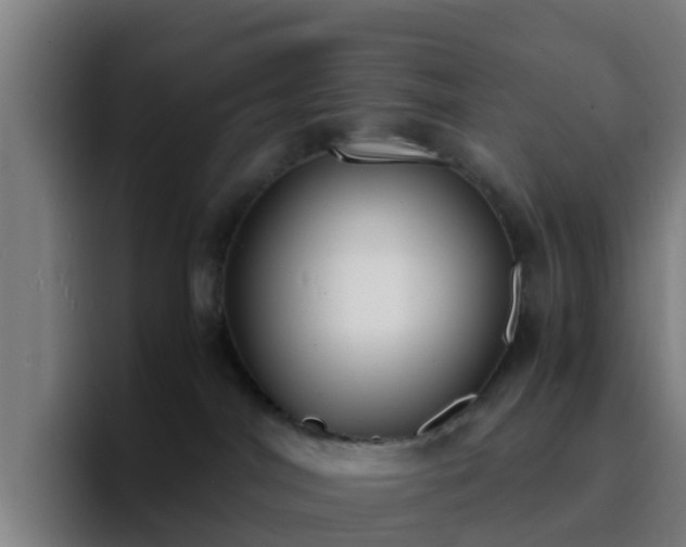 X0000094910044200712061057