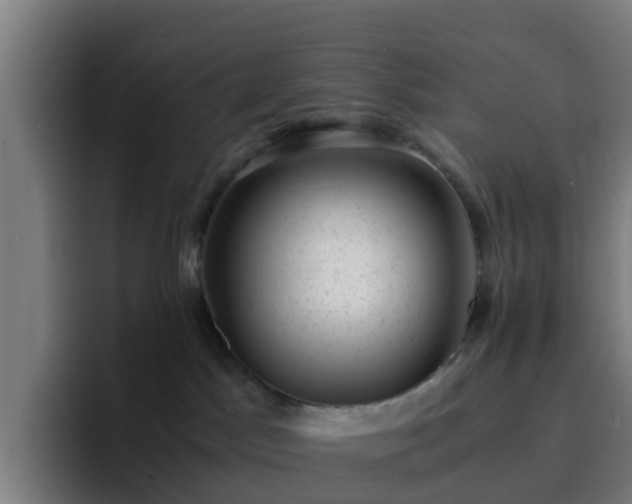 X0000094910045200712061057