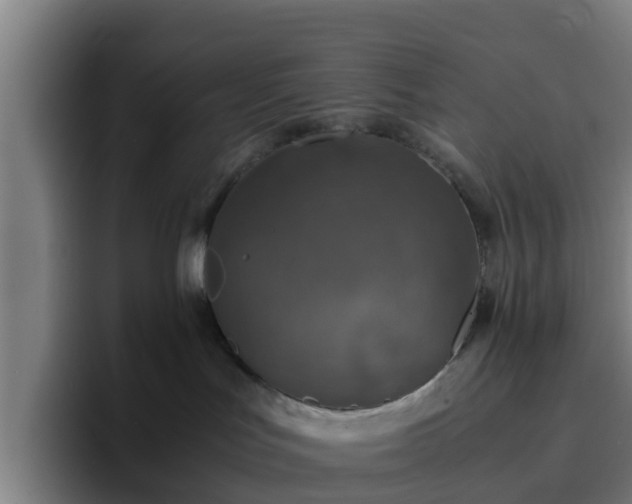 X0000094910047200712061057