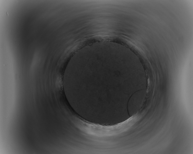 X0000094910048200712061057