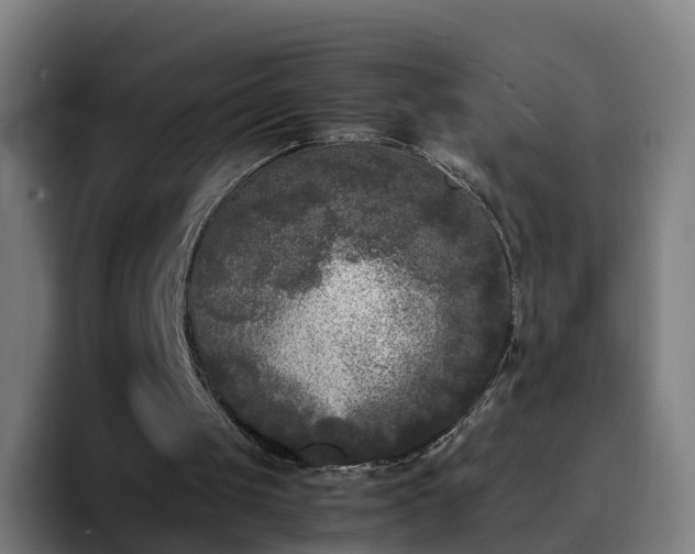 X0000094910049200712061057