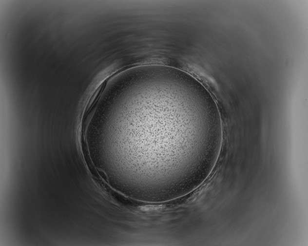 X0000094910051200712061057