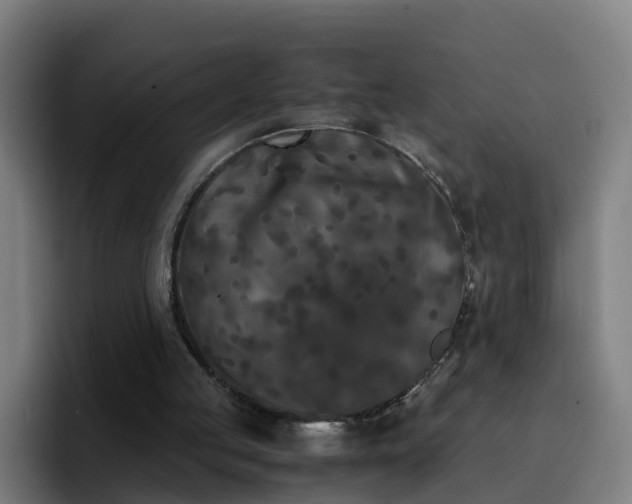 X0000094910053200712061057