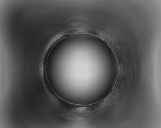 X0000094910054200712061057