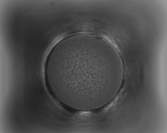 X0000094910055200712061057