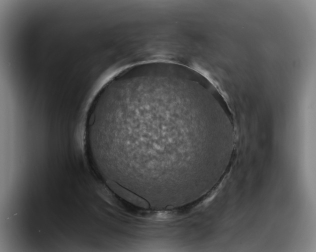 X0000094910056200712061057
