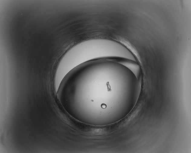 X0000094910057200712061057