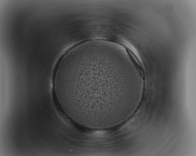 X0000094910059200712061057