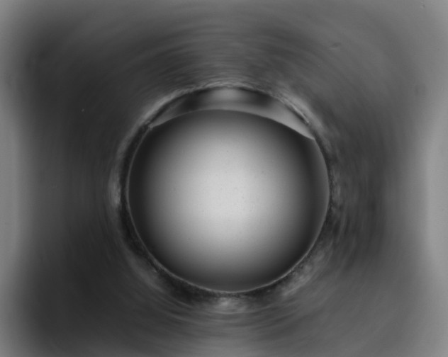 X0000094910060200712061057