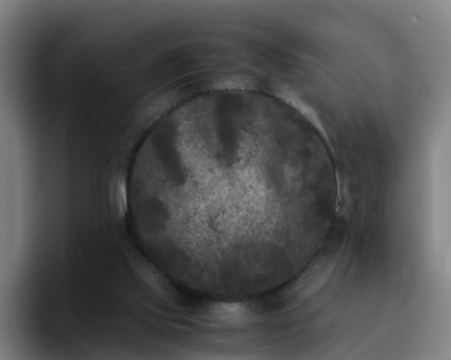 X0000094910061200712061057